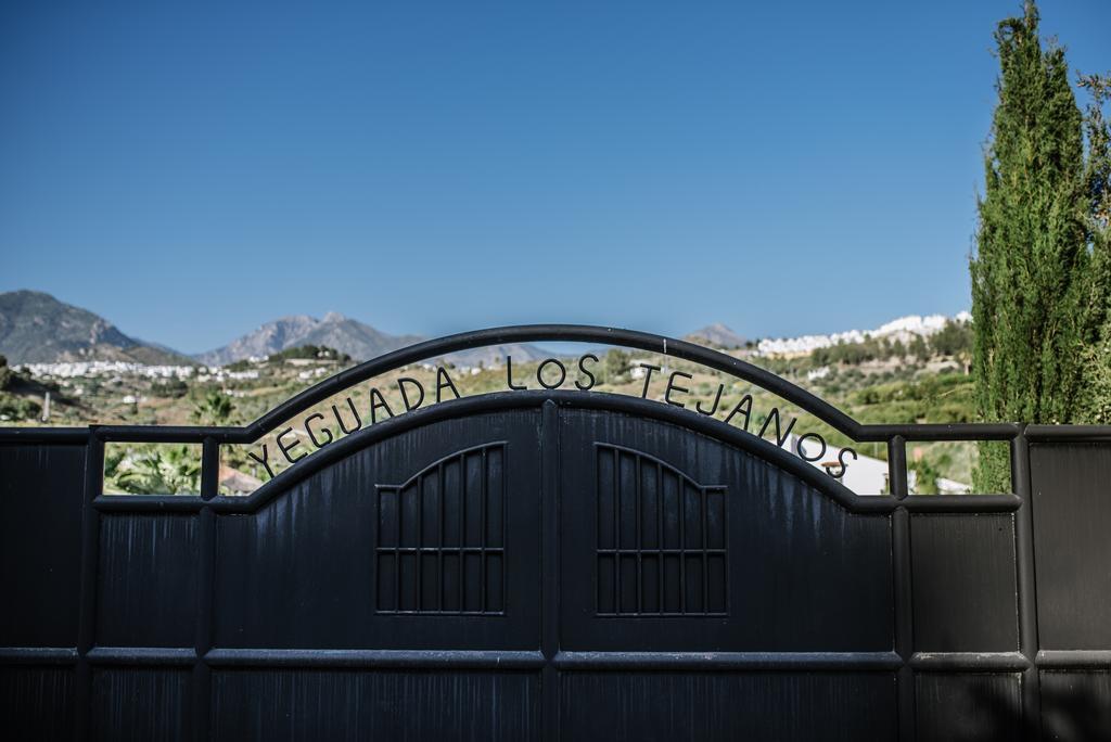 La Perla De Frigiliana Bed & Breakfast Deluxe Eksteriør billede