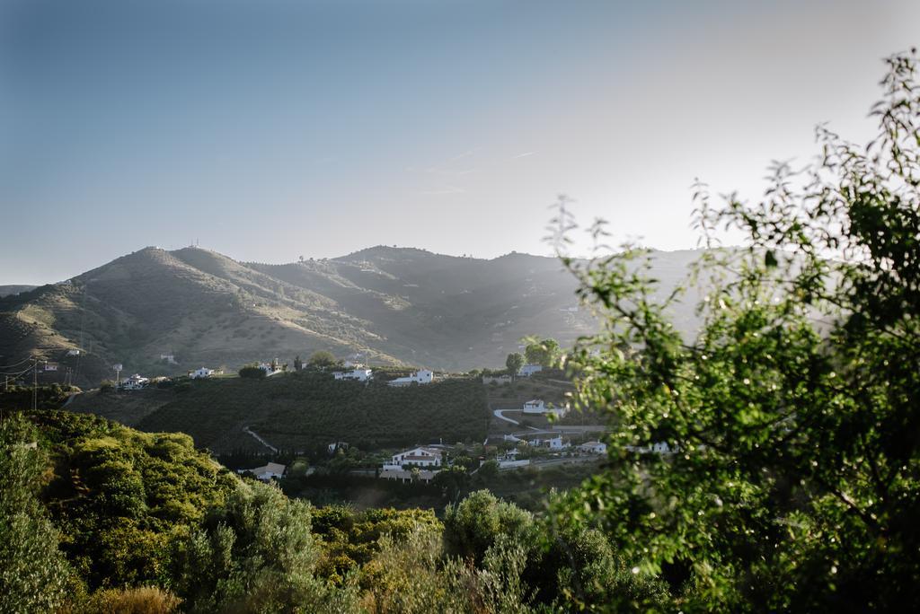 La Perla De Frigiliana Bed & Breakfast Deluxe Eksteriør billede