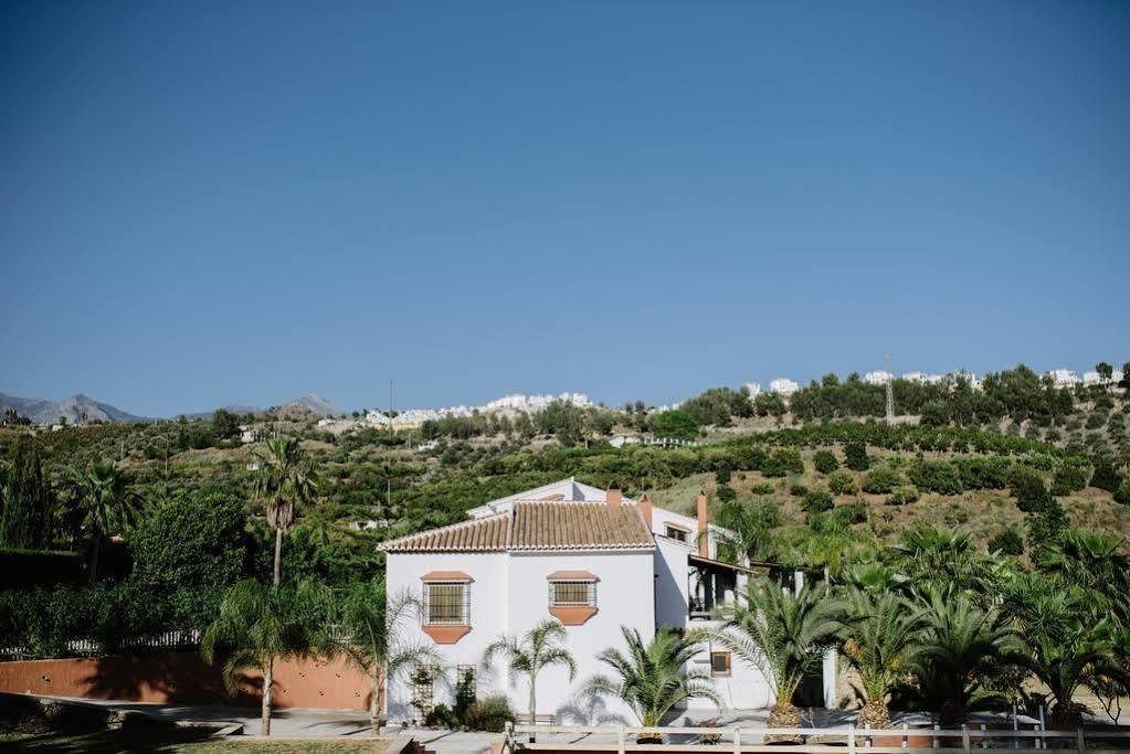 La Perla De Frigiliana Bed & Breakfast Deluxe Eksteriør billede